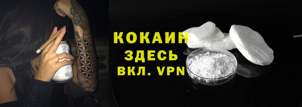 соль ск Алзамай